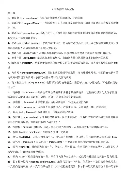 小浩学长人体解剖学名词解释