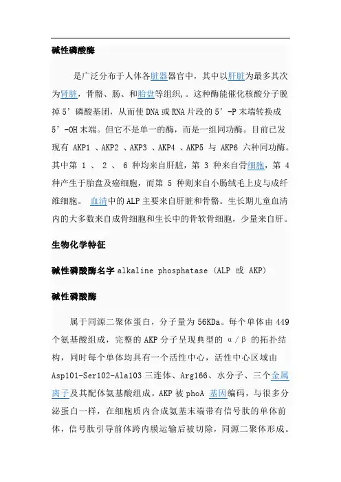 碱性磷酸酶