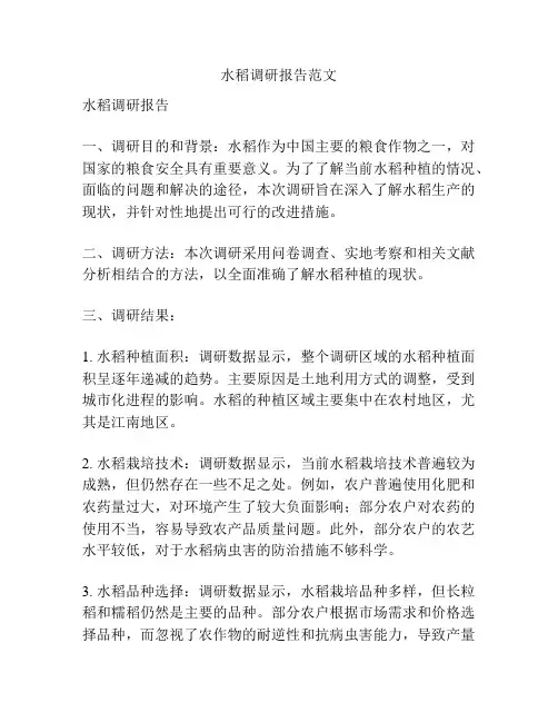 水稻调研报告范文