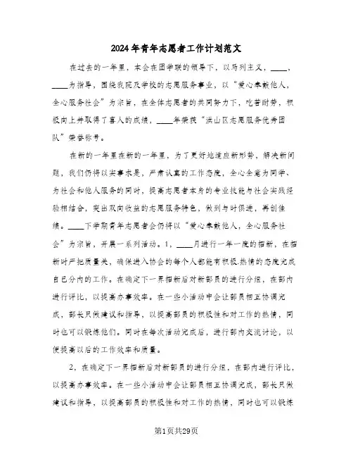 2024年青年志愿者工作计划范文(6篇)