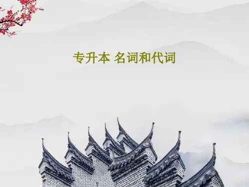 专升本 名词和代词PPT文档56页
