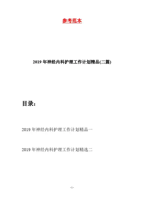 2019年神经内科护理工作计划精品(二篇)