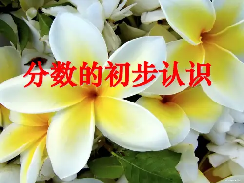 人教版《分数的初步认识》(完美版)PPT课件3