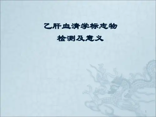 乙肝血清标志物检测ppt课件