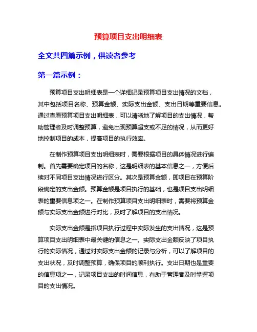 预算项目支出明细表