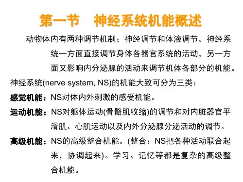 教学课件第十二章神经系统的感觉机能与感觉器官