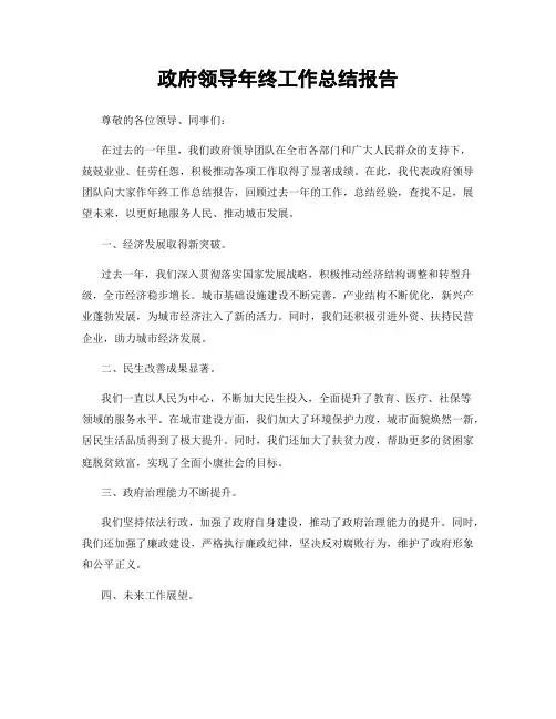 政府领导年终工作总结报告