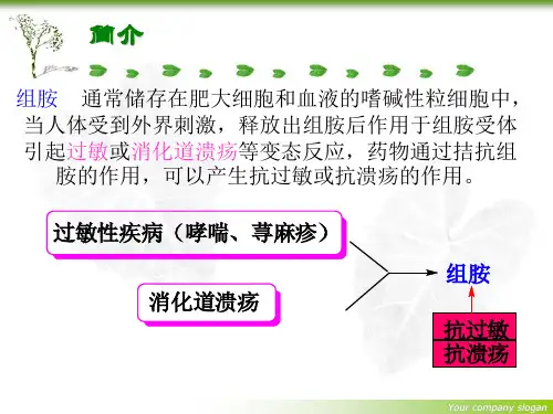 组胺H1受体拮抗剂 共33页