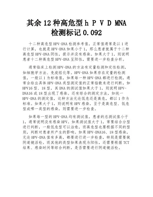 其余12种高危型h P V D MNA检测标记0