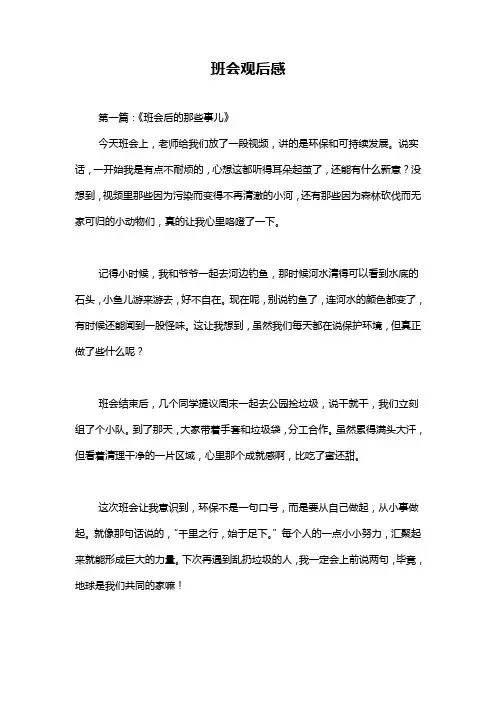 班会观后感