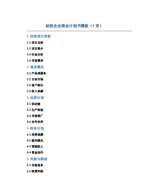 创投企业商业计划书模板(5页)