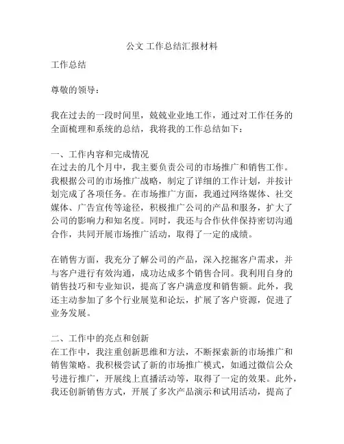 公文 工作总结汇报材料