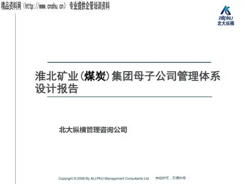 某集团母子公司管理体系设计报告(ppt98页)