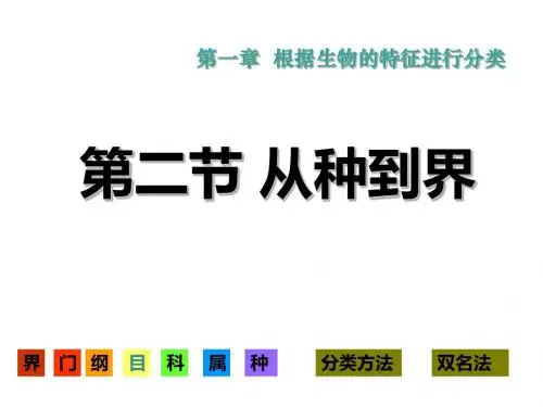 从种到界课件(共25张PPT)