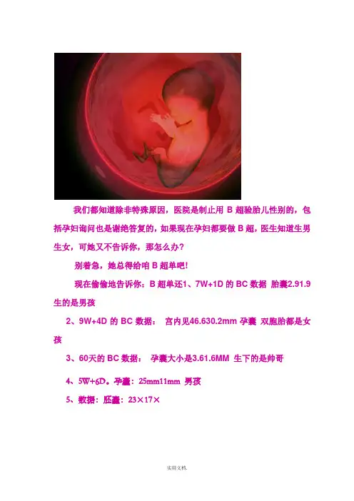 如何通过B超单辨别男女