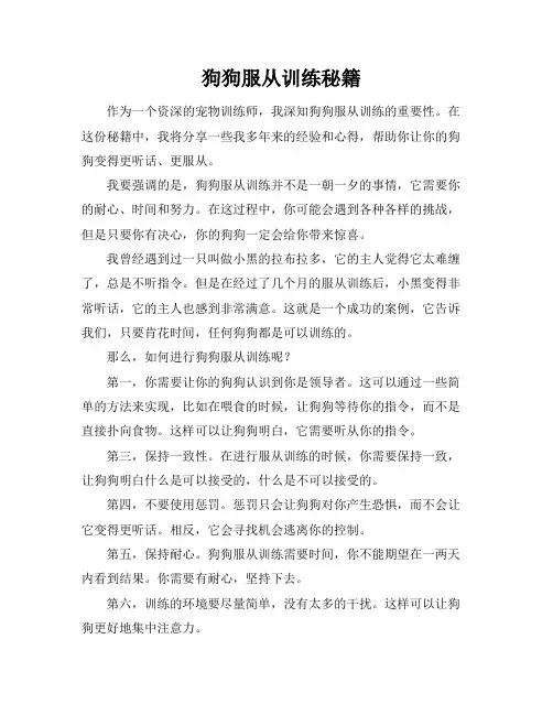 狗狗服从训练秘籍