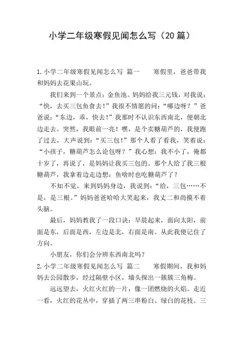 小学二年级寒假见闻怎么写(20篇)