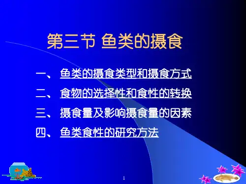 0173鱼类的食性
