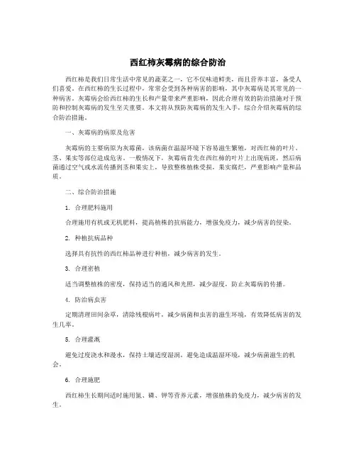 西红柿灰霉病的综合防治