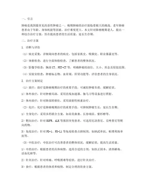 肺癌晚期老人治疗方案