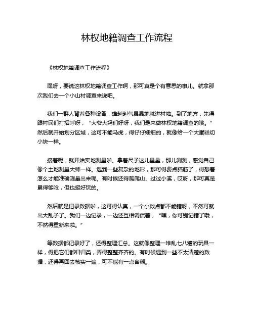 林权地籍调查工作流程