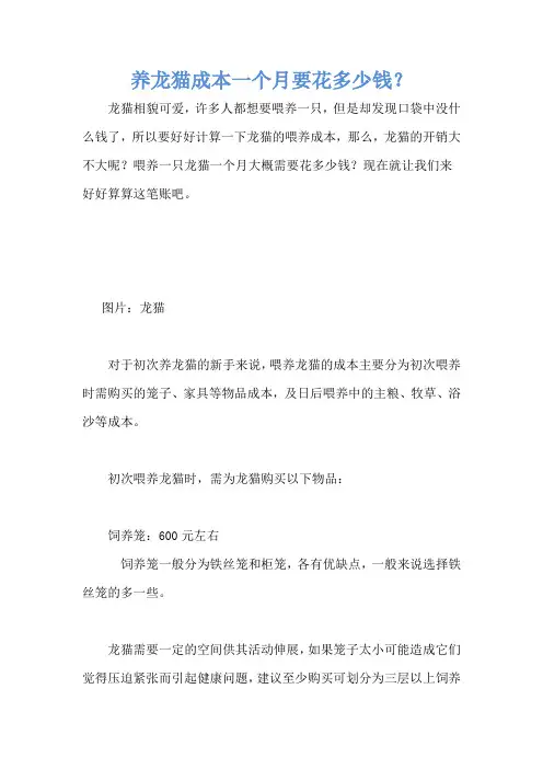 养龙猫成本一个月要花多少钱？