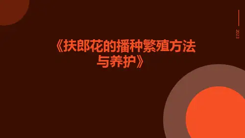 扶郎花的播种繁殖方法与养护