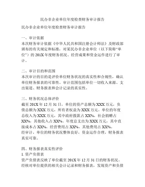 民办非企业单位年度检查财务审计报告