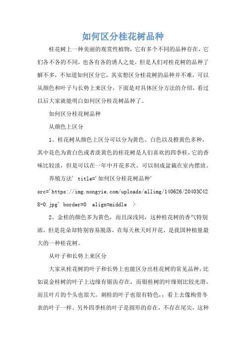 如何区分桂花树品种