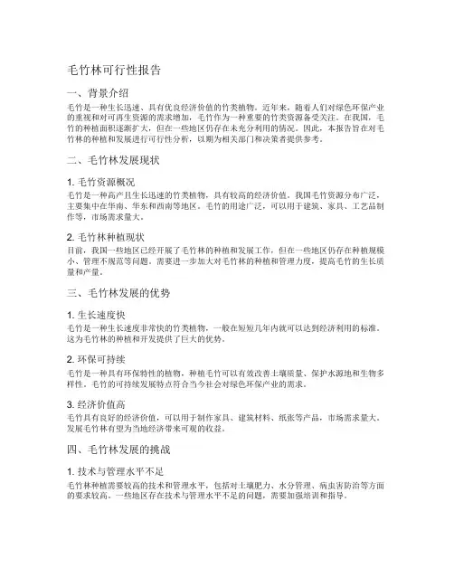 毛竹林可行性报告