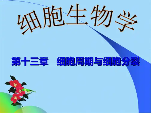 细胞周期与分裂(共50张PPT)