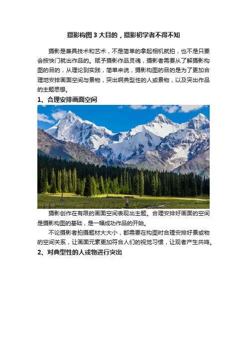 摄影构图3大目的，摄影初学者不得不知