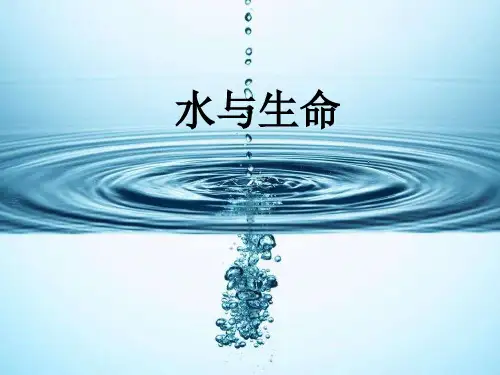 水与生命  课件(10张PPT)