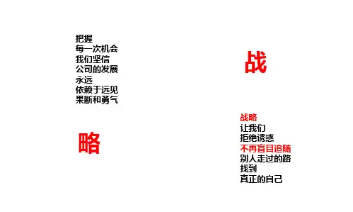 服装公司战略规划-PPT精品文档51页