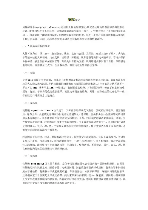 局部解剖学讲义