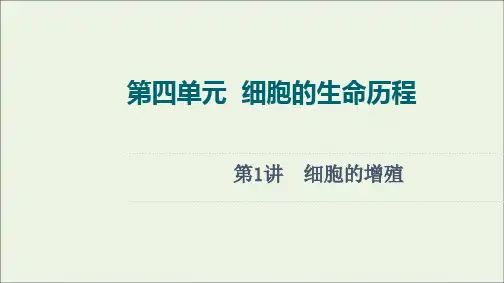 新高考苏教版细胞的增殖(115张)课件江苏专用