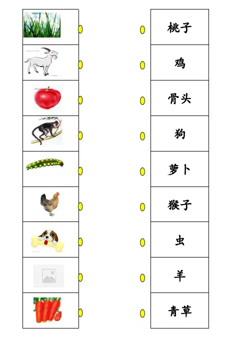 儿童识字图片连线一(字加画)