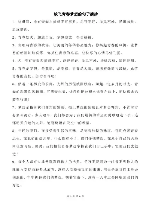 放飞青春梦想的句子摘抄