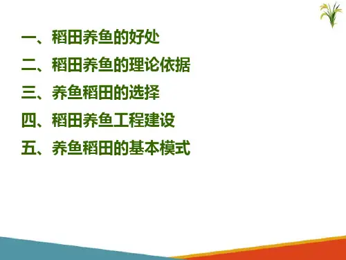 水稻生产新技术—稻田养鱼技术(北方水稻生产课件)
