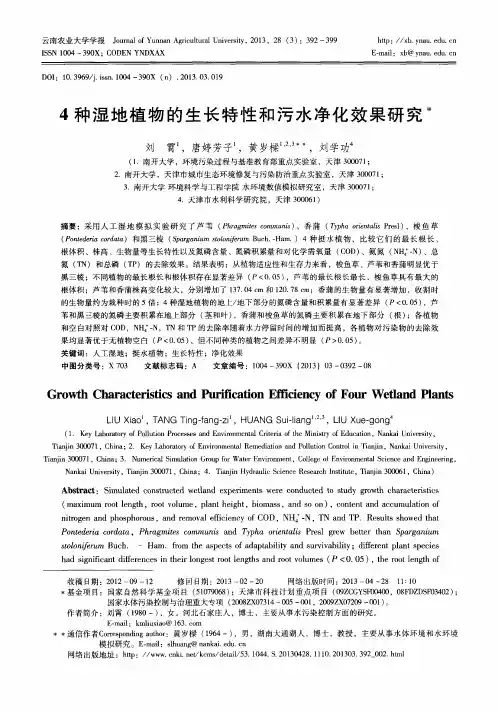 4种湿地植物的生长特性和污水净化效果研究