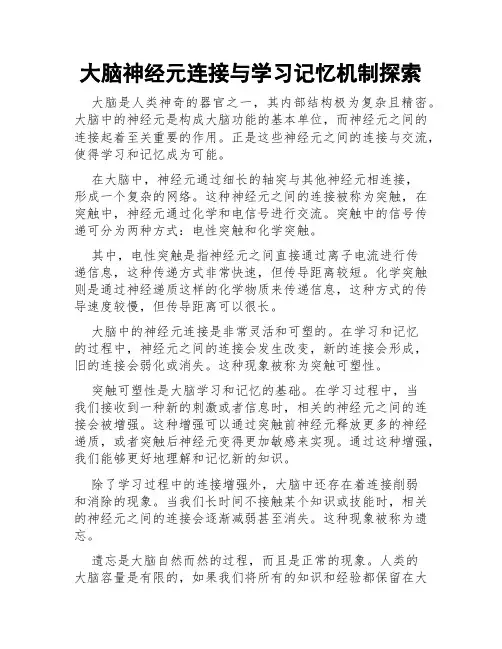 大脑神经元连接与学习记忆机制探索