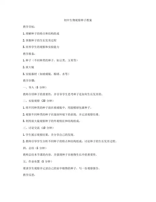 初中生物观察种子教案
