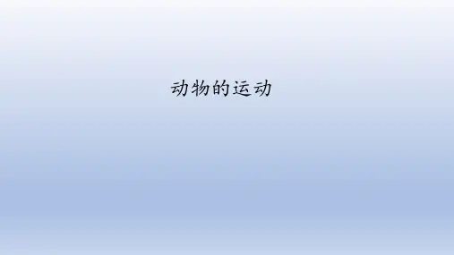济南版七年级生物上册：.3 动物的运动  课件