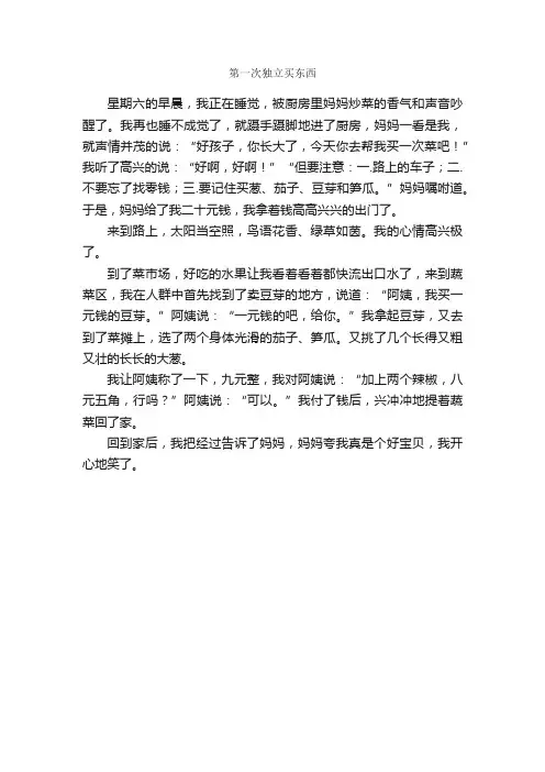 第一次独立买东西_作文350字_第一次作文_