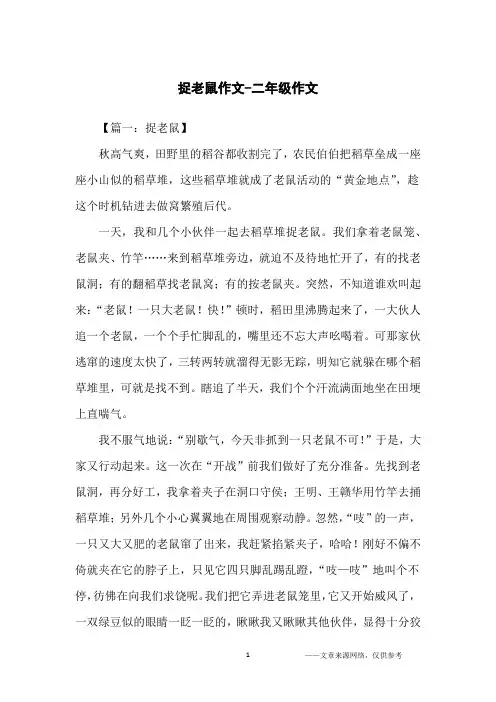 捉老鼠作文-二年级作文