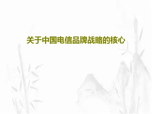 关于中国电信品牌战略的核心共16页