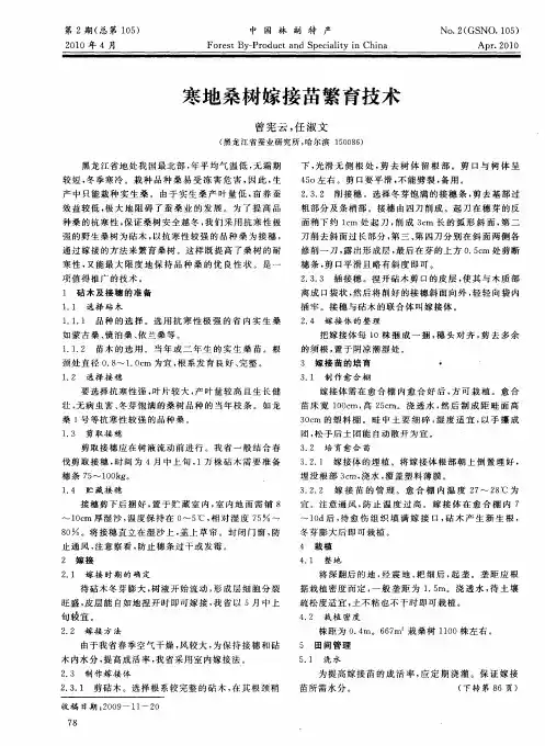 寒地桑树嫁接苗繁育技术