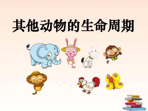 教科版三年级下册科学《其他动物的生命周期》动物的生命周期3精品PPT教学课件