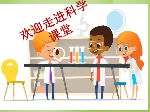 青岛版(五四制)一年级上册科学课件-玩磁铁