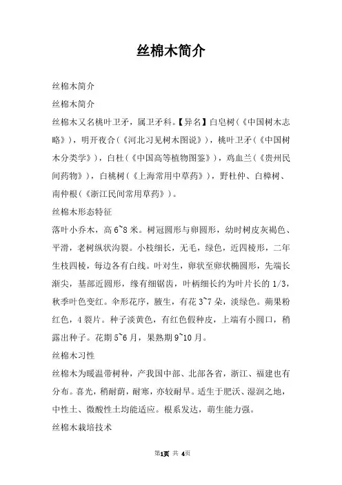 丝棉木简介